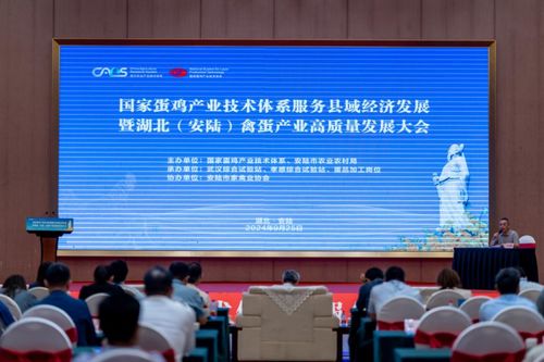 國家蛋雞產業技術體系服務縣域經濟發展大會在安陸召開，信息技術咨詢服務助力產業升級