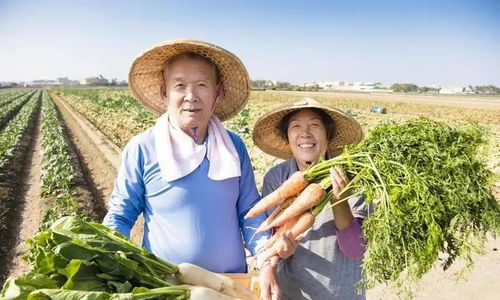 退休金4200的我，在農村嫂子家看到的另一種富足